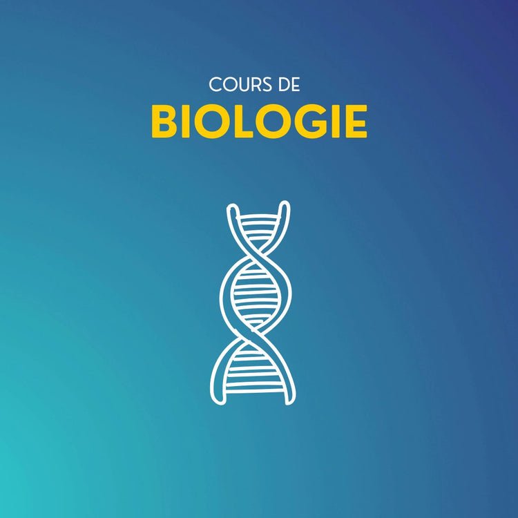 Préparer le concours de Médecine avec nos cours de biologie