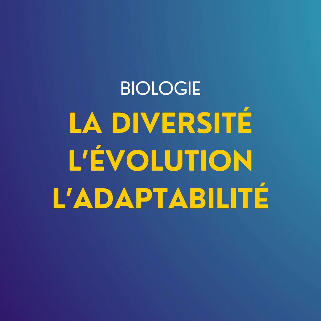Cours de Biologie : La diversité – l’évolution – l’adaptabilité