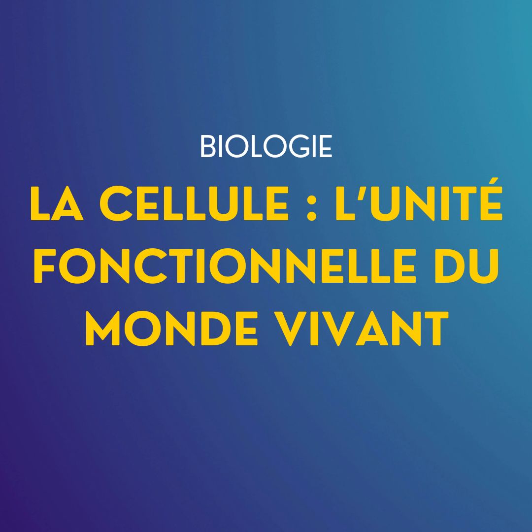 Cours de Biologie : La cellule