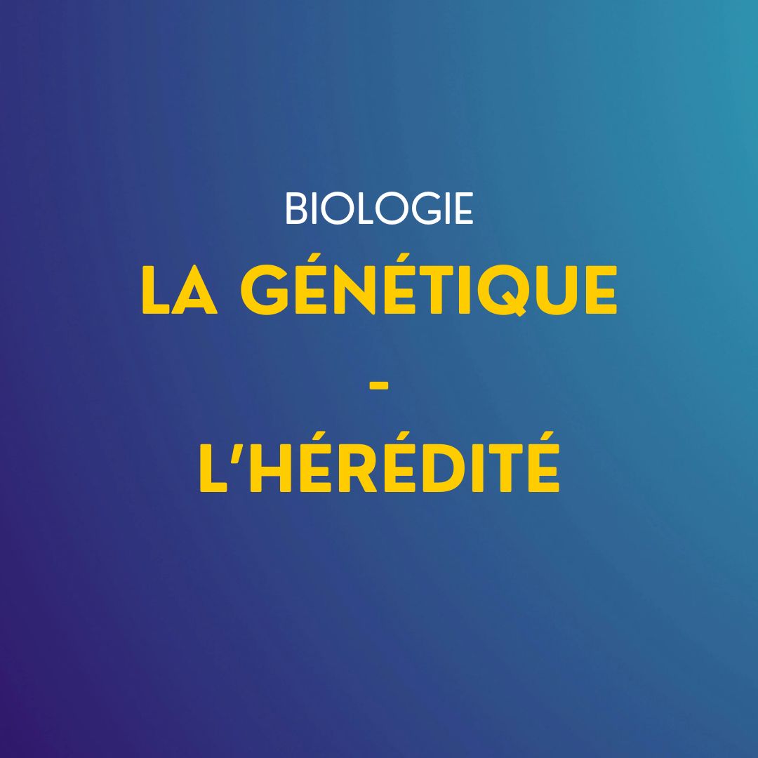 Cours de Biologie : La génétique – l’hérédité