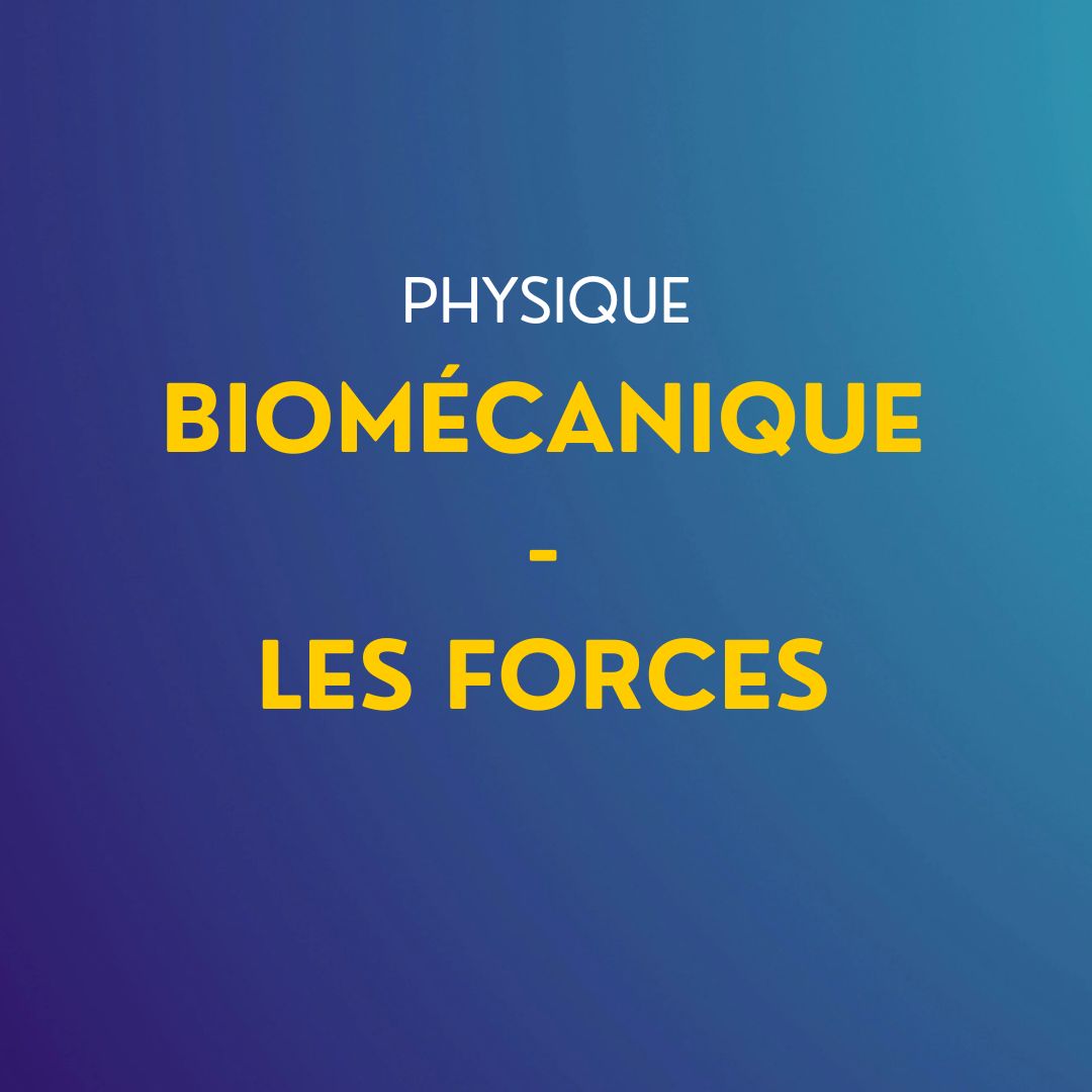 Cours de physique : Partie biomécanique - Les Forces