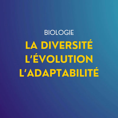 Cours de Biologie : La diversité – l’évolution – l’adaptabilité