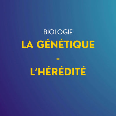 Cours de Biologie : La génétique – l’hérédité