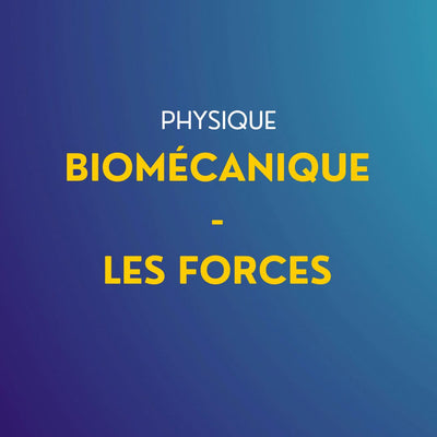 Cours de physique : Partie biomécanique - Les Forces