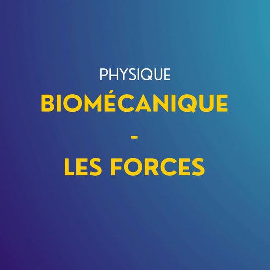 Cours de physique : Partie biomécanique - Les Forces